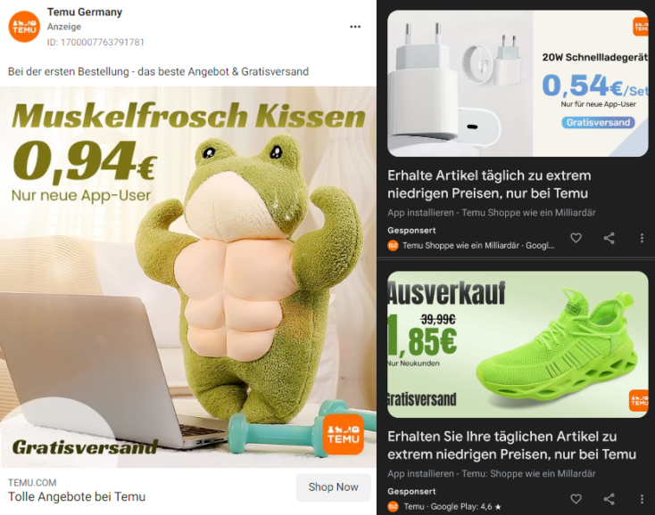 Temu Werbung Facebook und Google