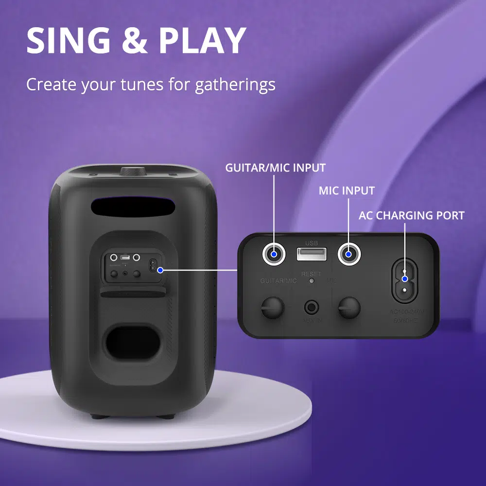 Tronsmart Halo 200 Anschluesse