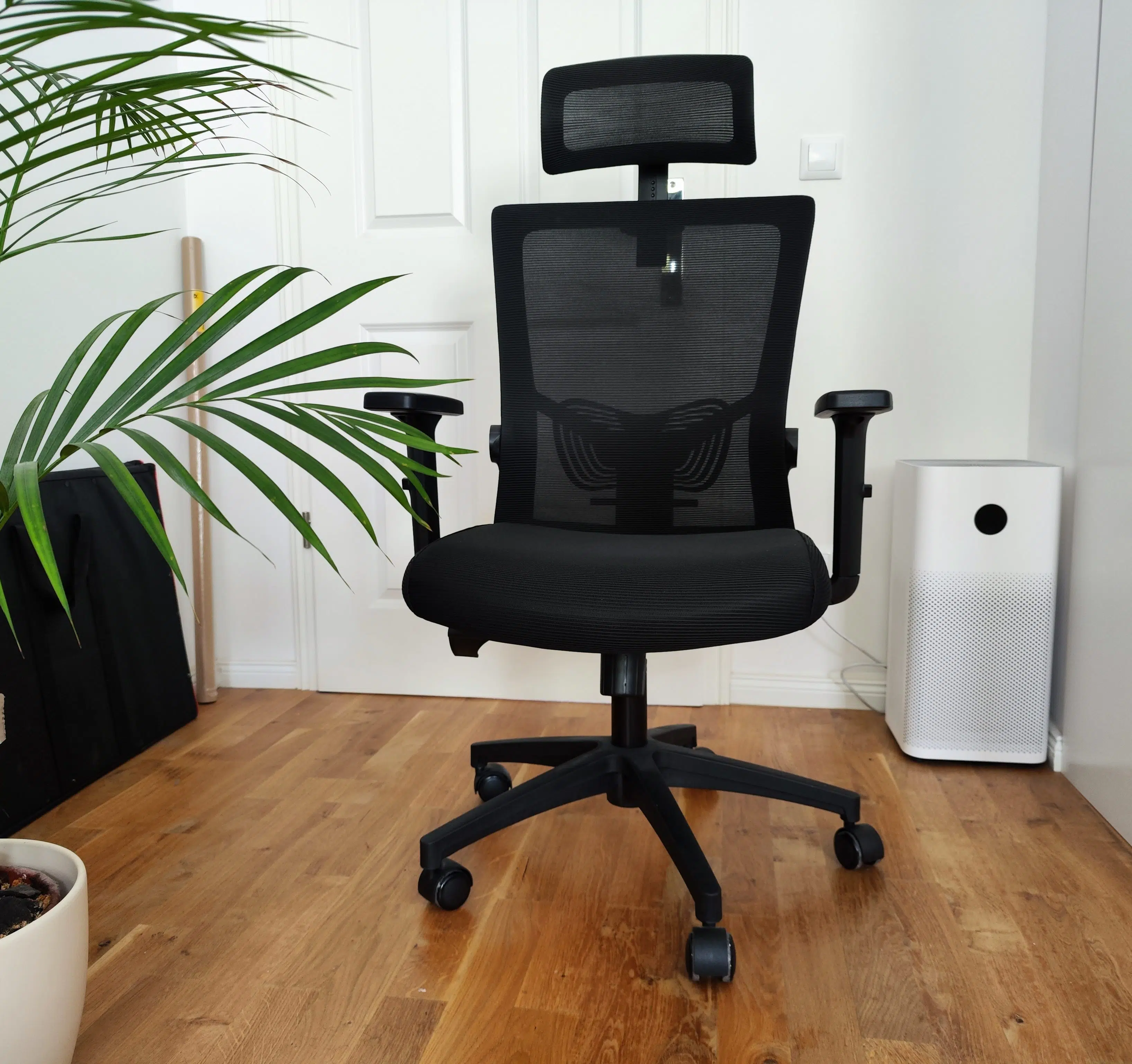 Tiefstpreis für 66,99€: Daccormax Bürostuhl im Test - Vernünftig sitzen