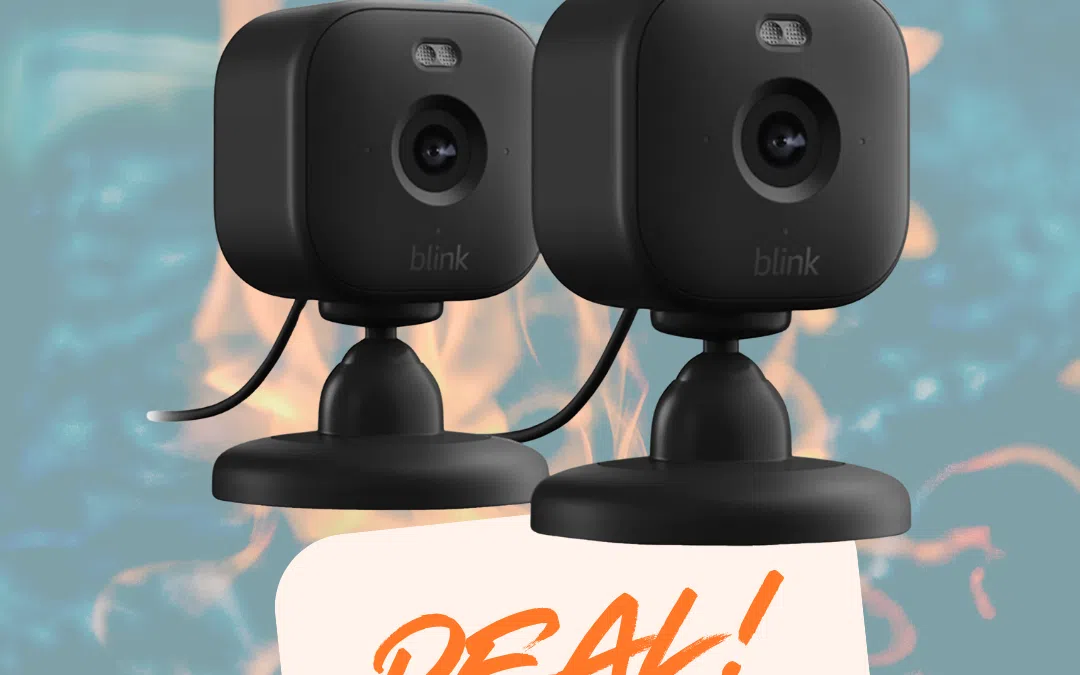 Blink-Mini-2-Duo