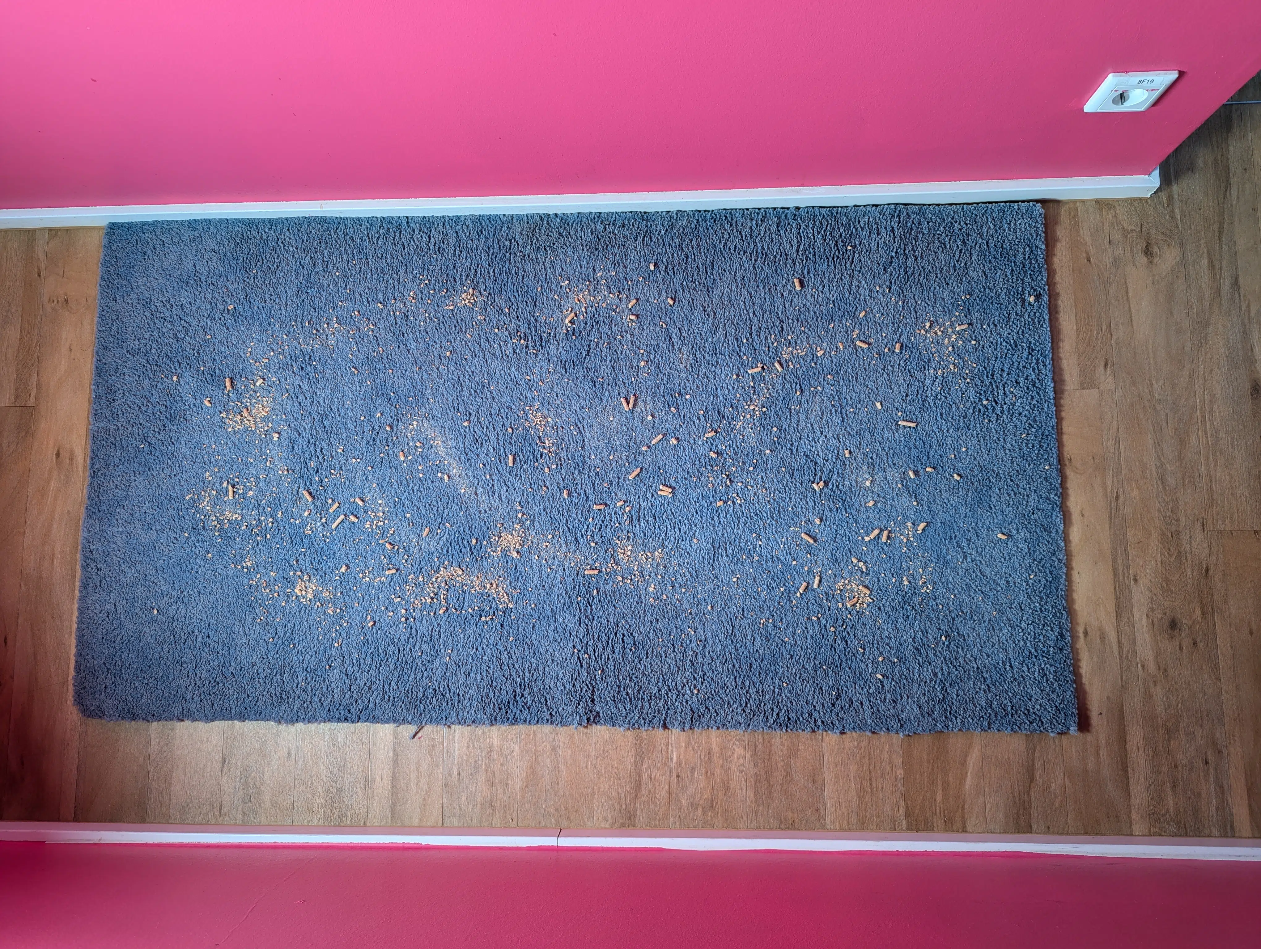 Roborock Q Revo Master Saugen vorher