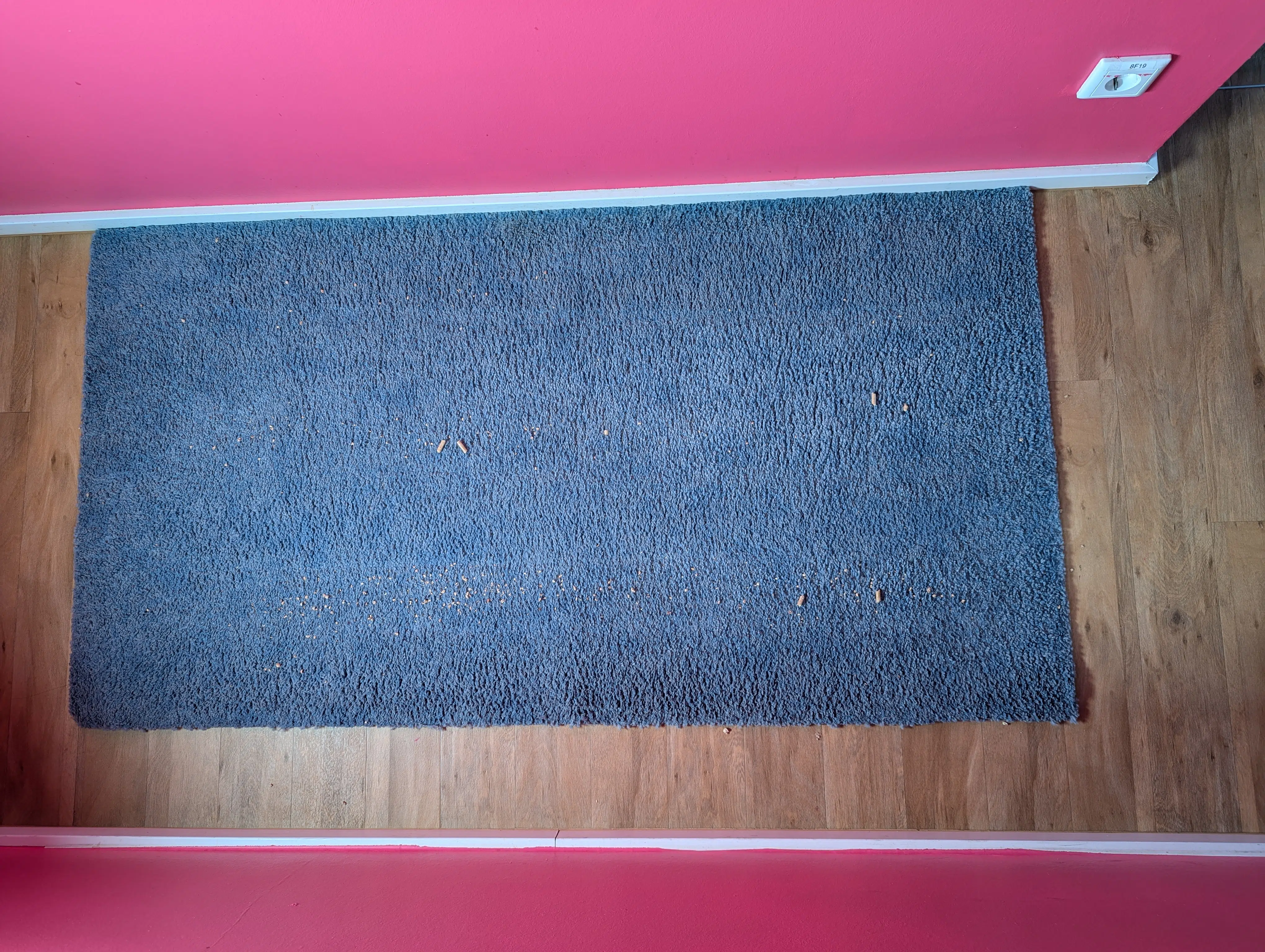 Roborock Q Revo Master nachher 1 Durchgang