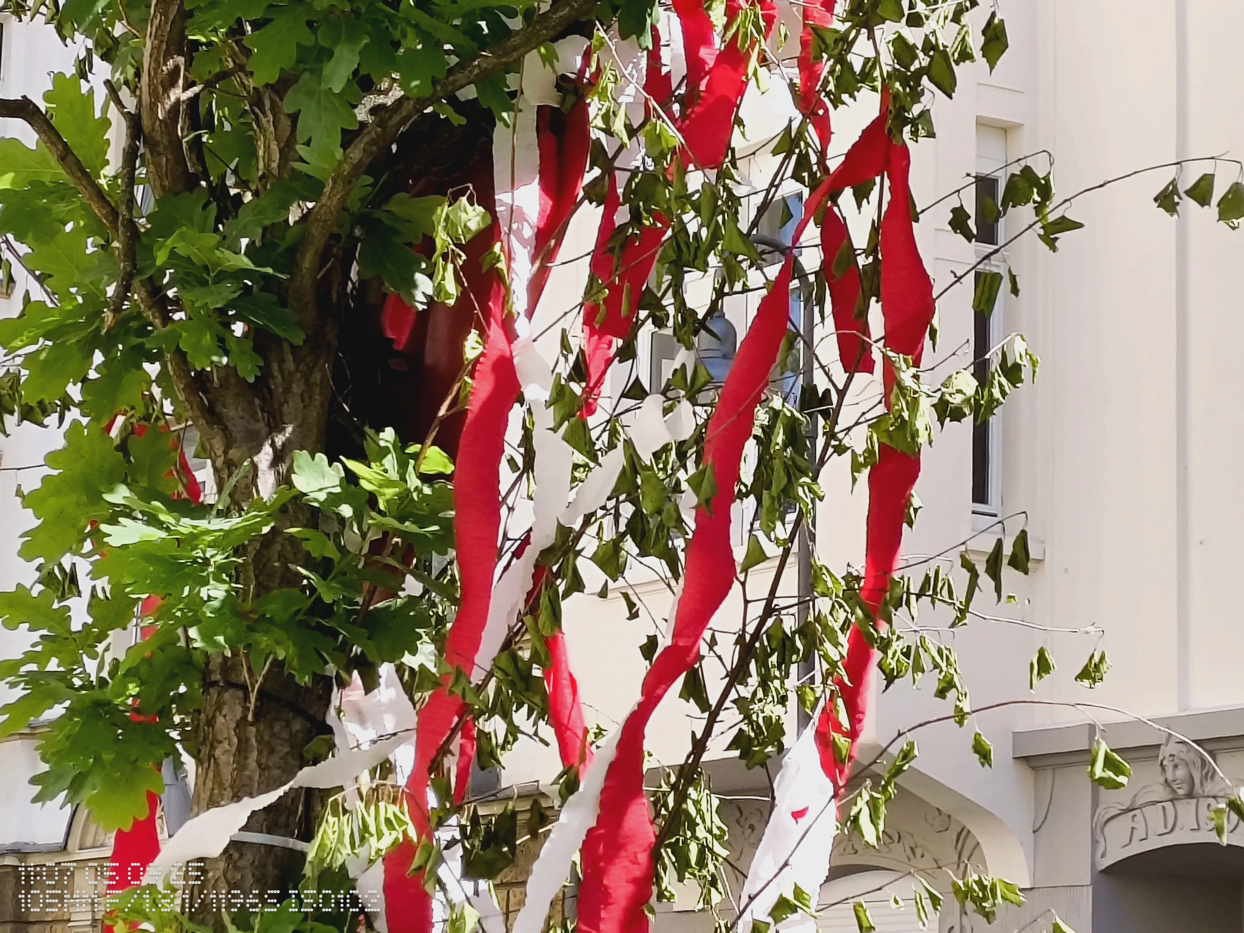 cmf phone 1 4x cmf phone 1 4x