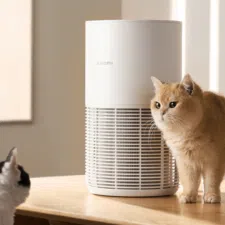 Xiaomi Smart Pet Care Air Purifier Produktbild