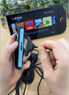 Joy-Con Ladekabel