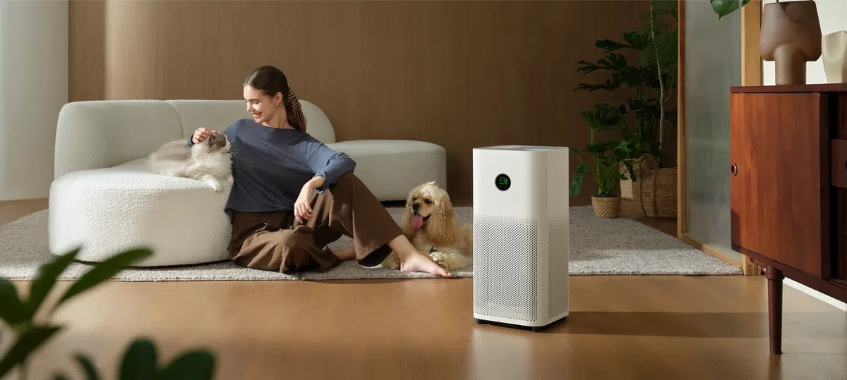 Xiaomi Mijia Smart Air Purifier 6 mit Hund