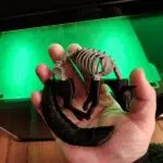 3D Druck Weihnachtsgeschenke Wolfsfigur 3D Druck Weihnachtsgeschenke Wolfsfigur