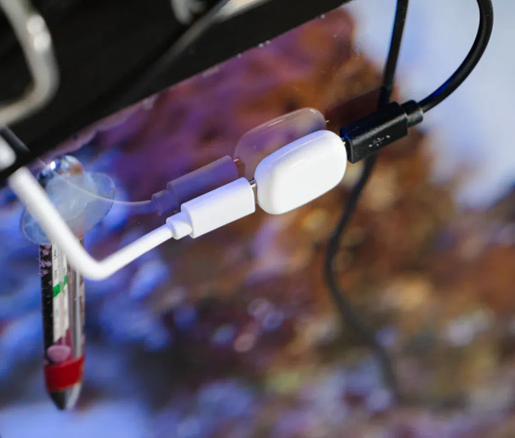 The Pill by Shelly Aquarium Wassertemperatur The Pill by Shelly Aquarium Wassertemperatur