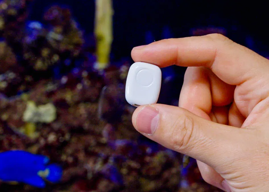 The Pill by Shelly Groesse The Pill by Shelly Groesse