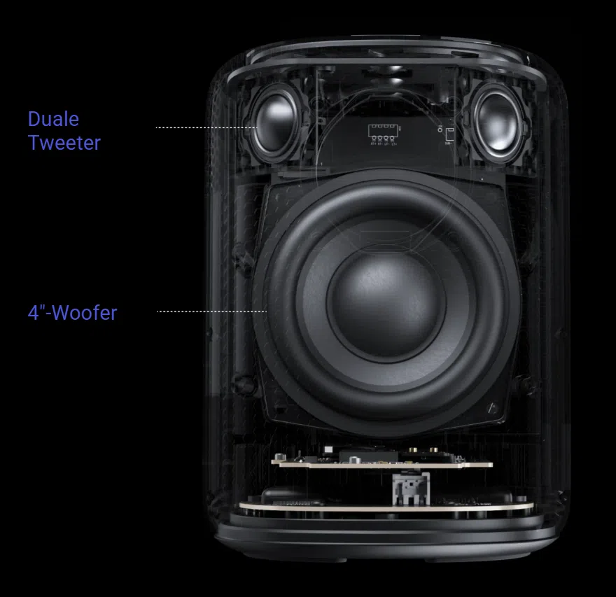 WiiM Sound Lite Produktbild Treiber