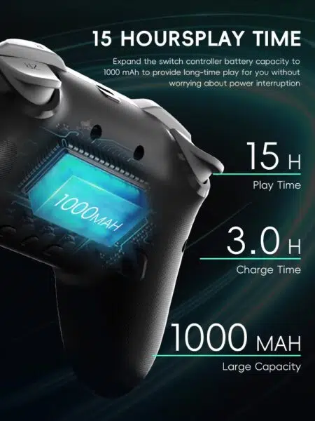 Data Frog Switch Pro Controller Akku