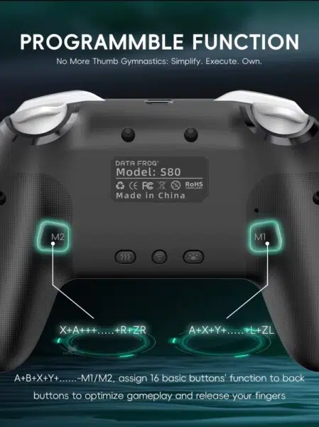 Data Frog Switch Pro Controller Programmierbare Tasten