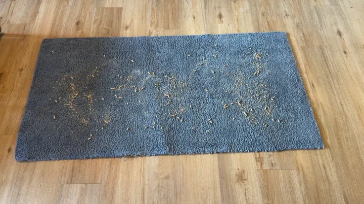 Dreame Aqua10 Roller Complete Saugen vorher Dreame Aqua10 Roller Complete Saugen vorher