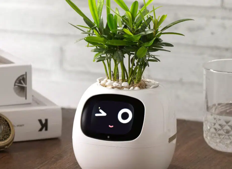 PlantsIO-Ivy-Aufmacher