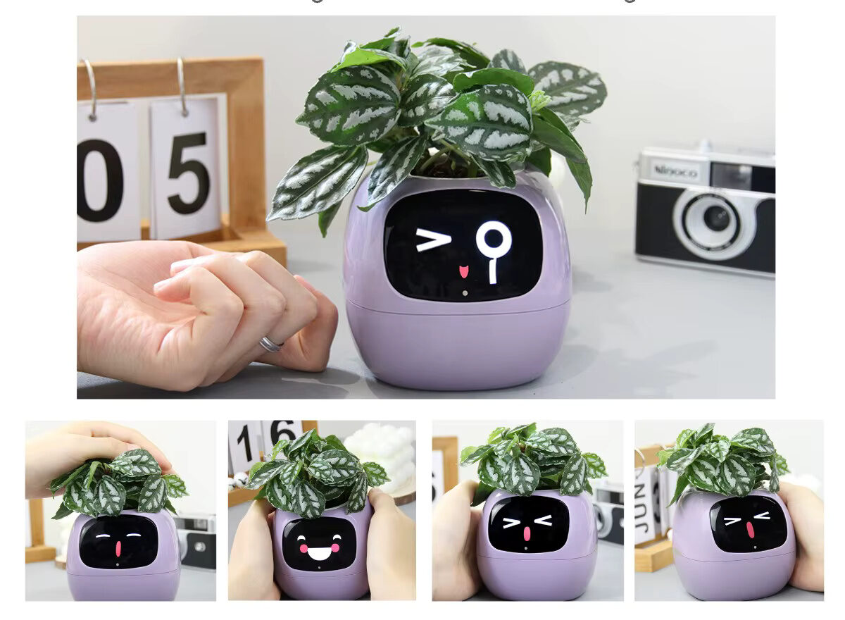 PlantsIO Ivy Gesichter e1769173256545