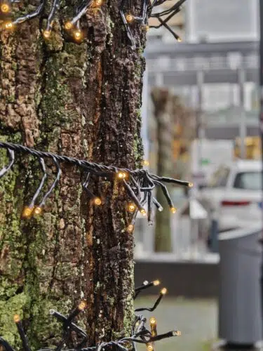 Realme GT 8 Pro Hauptkamera Testfoto