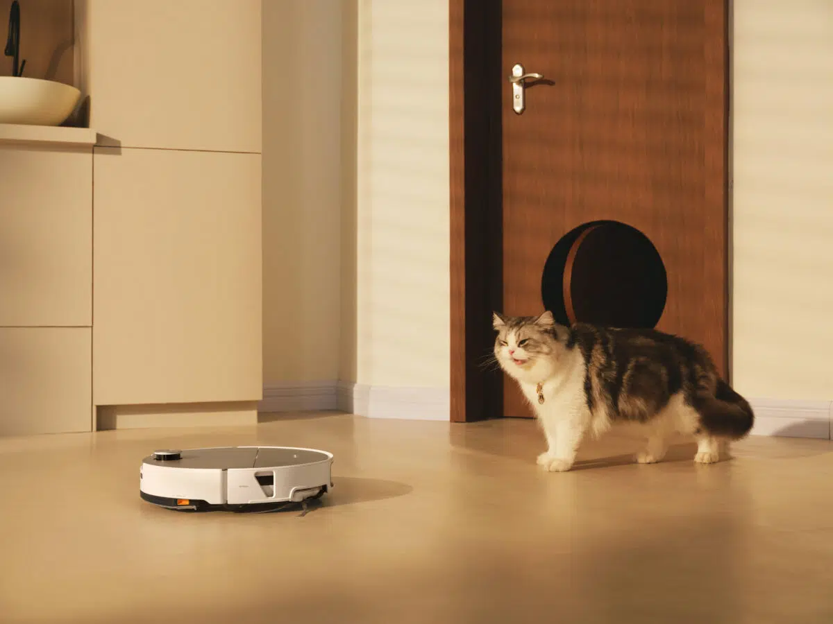 Roborock Saros 20 Sonic mit Katze