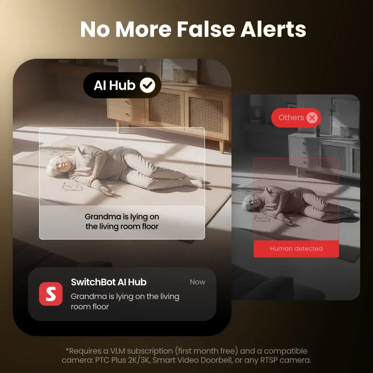 SwitchBot AI Hub Sturzerkennung