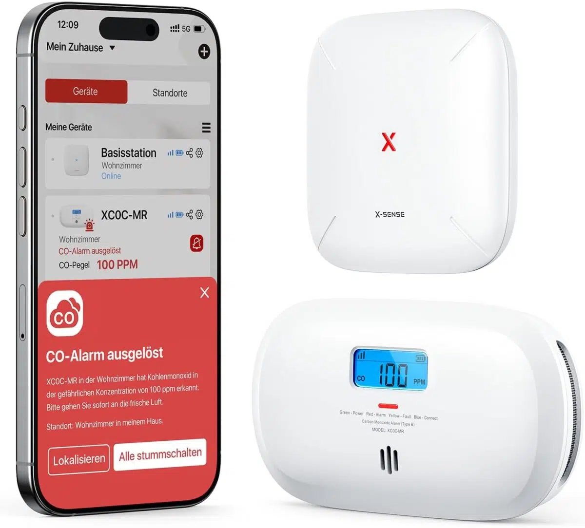 X Sense CO Sensor smarte Version