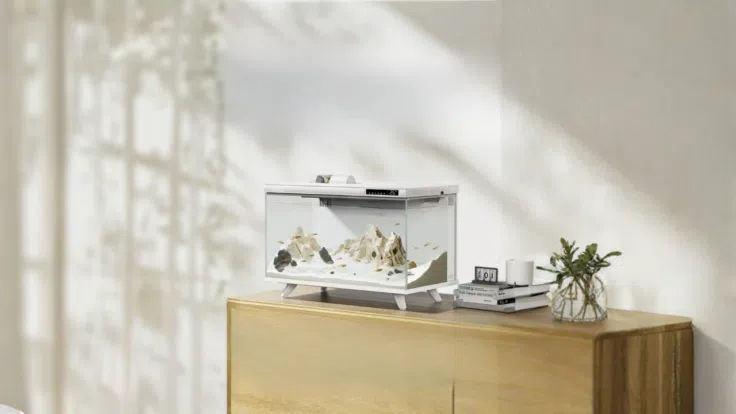 DESGEO Aquarium Beitragsbild DESGEO Aquarium Beitragsbild