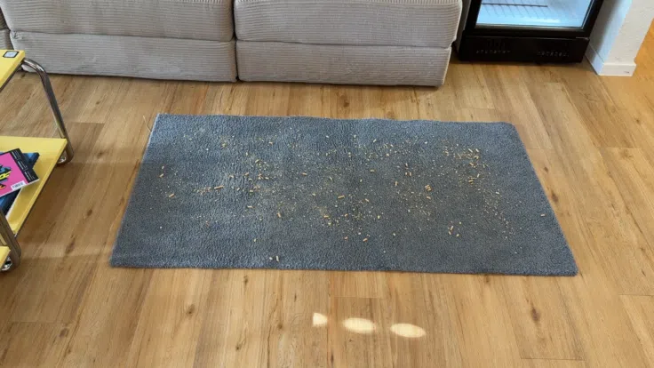 Roborock Qrevo Curv 2 Flow Saugen vorher Roborock Qrevo Curv 2 Flow Saugen vorher