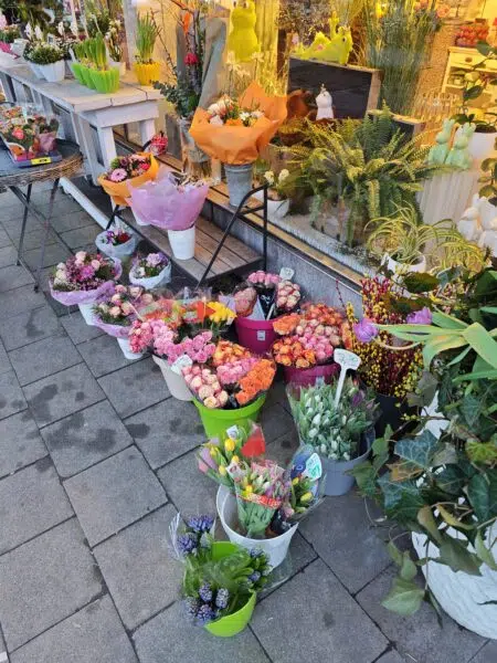 Xiaomi 17 Testfoto Hauptkamera Farben