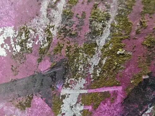 xiaomi 17 ultra makroaufnahme