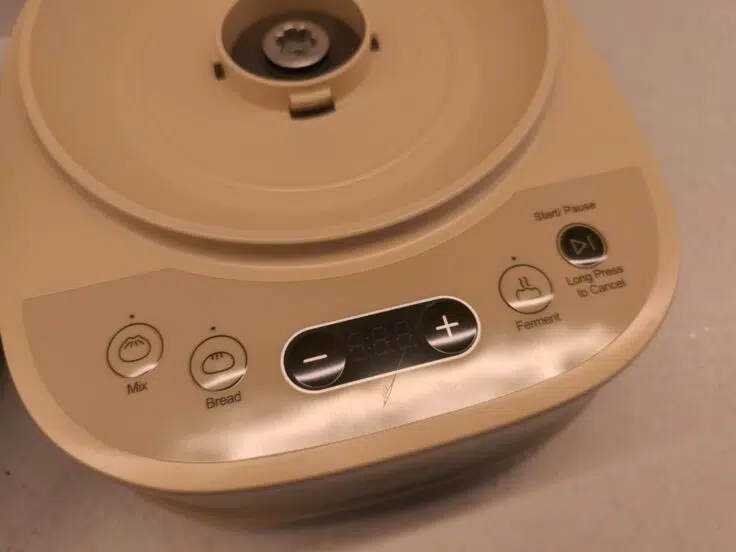 Bear Teigbereiter Display