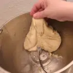 Bear Teigbereiter Teig