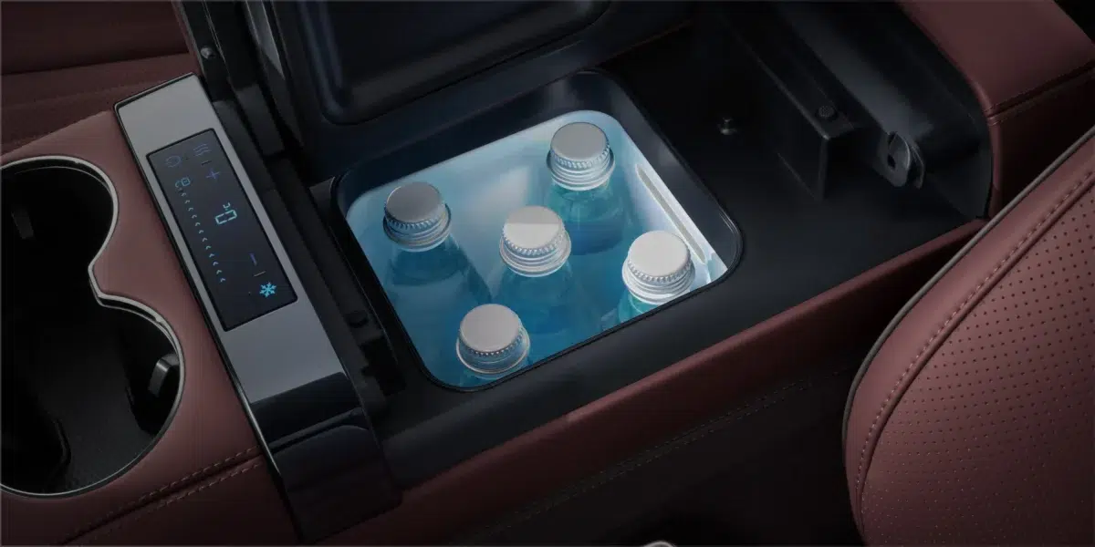 Denza Z9GT Kuehl Heizfach Denza Z9GT Kuehl Heizfach