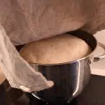 Dreame BioKnead Pizzateig Aufgegangen Dreame BioKnead Pizzateig Aufgegangen