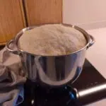 Dreame BioKnead maximalmenge Pizzateig Dreame BioKnead maximalmenge Pizzateig