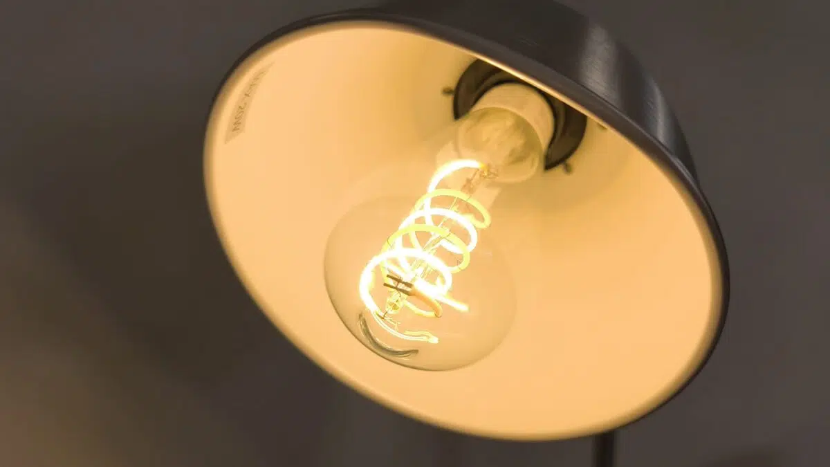 Govee LED Edison Bulb
