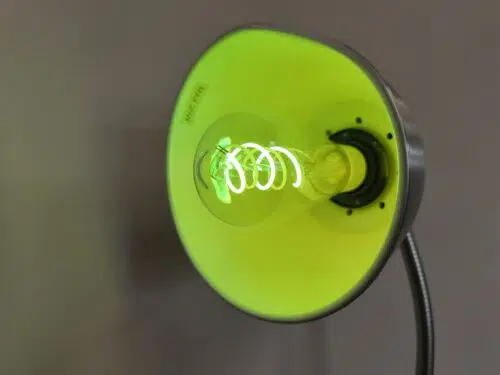 Govee LED Edison Bulb Gruenes Licht