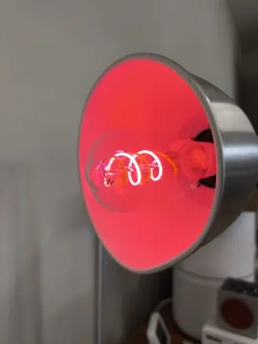 Govee LED Edison Bulb rotes Licht