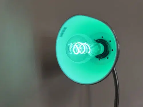 Govee LED Edison Bulb tuerkises Licht