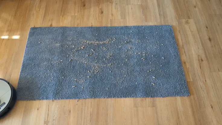 JONR X9 Pro Saugen Vorher