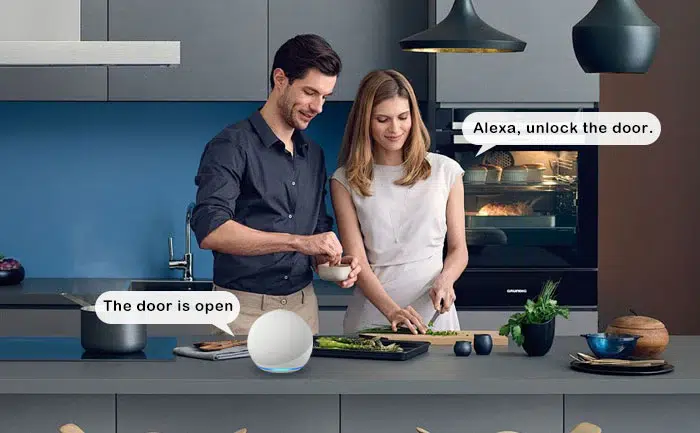 WELOCK Touc A51 Pro Sprachsteuerung