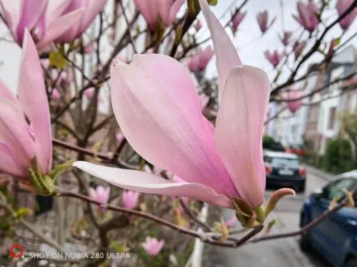nubia z80 ultra makro