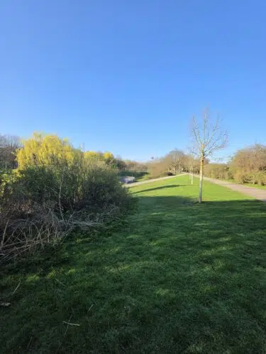 samsung galaxy s26 ultra 06x samsung galaxy s26 ultra 06x