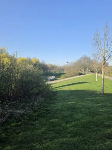 samsung galaxy s26 ultra 1x samsung galaxy s26 ultra 1x