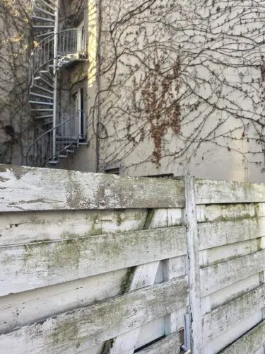 samsung galaxy s26 ultra vordergrund samsung galaxy s26 ultra vordergrund