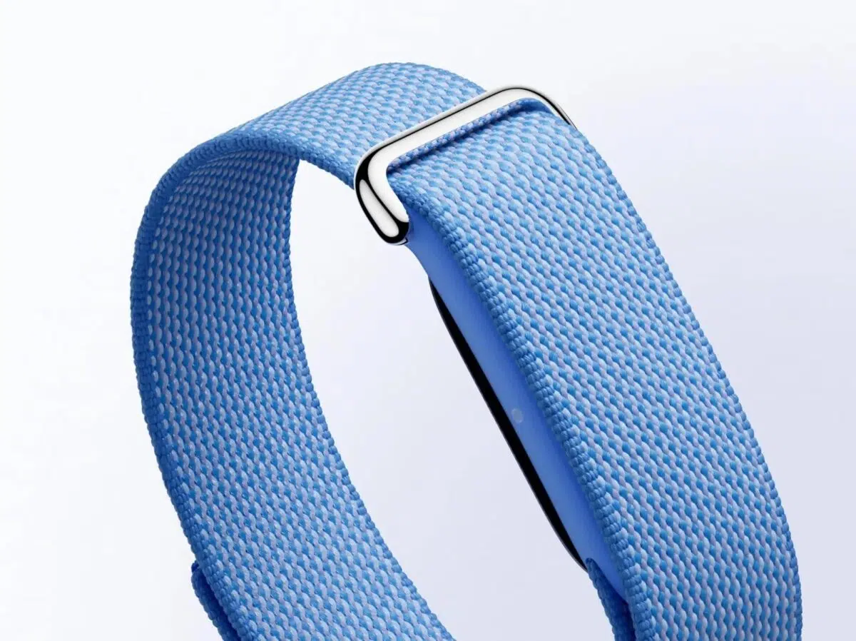 Google FitBit Air band Blau