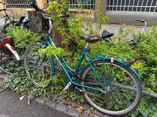 Honor 600 Lite fahrrad