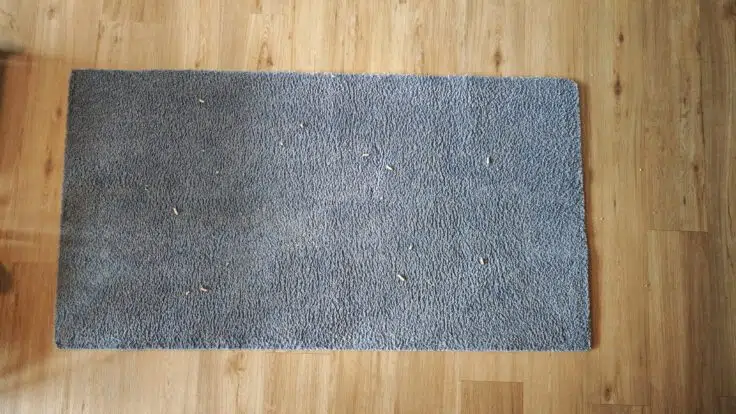 Rovorock Qrevo S Pro Saugen nachher Rovorock Qrevo S Pro Saugen nachher