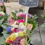 oppo find x9 ultra blumen oppo find x9 ultra blumen