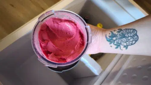 Fourson Kuehlbox 55L Eis noch gefroren