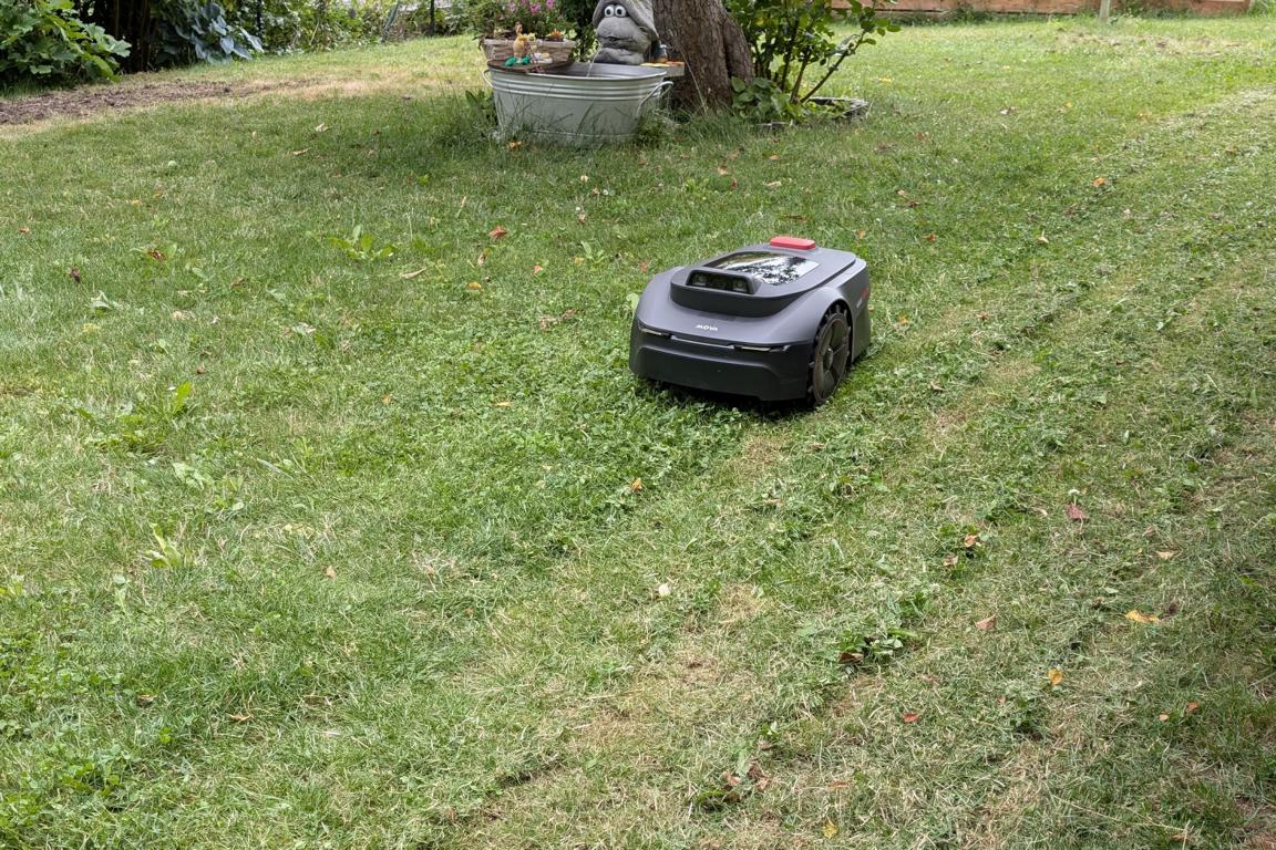 MOVA ViAX 250 Maehroboter Bahnen Schnitt MOVA ViAX 250 Maehroboter Bahnen Schnitt
