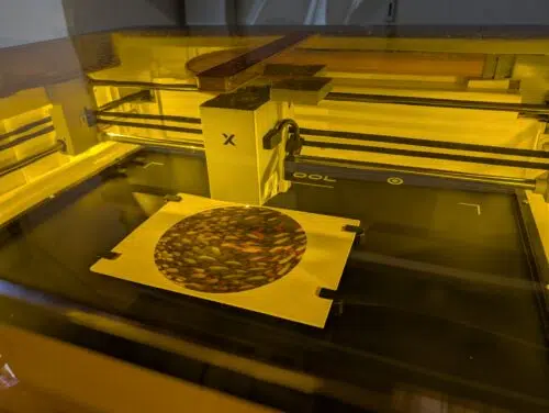 xTool M2 Test Untersetzer Druckprozess