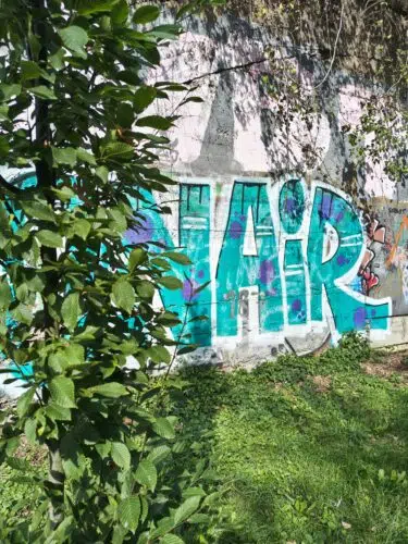 motorola edge 70 pro graffitti